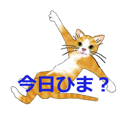 Lineスタンプ 猫 癒し 面白い言葉 日常会話 ネコ お気楽 16種類 1円