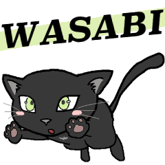 WASABI chat noir