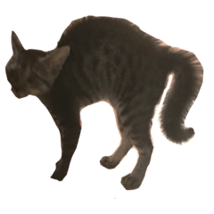 ゆるせんきゃっつ Lineスタンプ Yamandyam