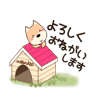 のんびりわんこの普段よく使う言葉（個別スタンプ：13）