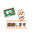 のんびりわんこの普段よく使う言葉（個別スタンプ：19）