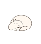 ねこタイツたちのフォトスタンプ（個別スタンプ：5）