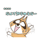 ぼのぼの カスタムスタンプ（個別スタンプ：39）