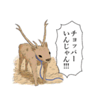 恋するワンピース（伊原大貴）（個別スタンプ：7）
