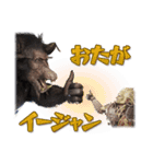 モンスターハンター公式イージャンスタンプ（個別スタンプ：21）