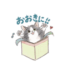 関西弁でいろいろ伝える猫たちのスタンプ（個別スタンプ：1）