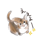 関西弁でいろいろ伝える猫たちのスタンプ（個別スタンプ：10）