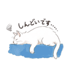 関西弁でいろいろ伝える猫たちのスタンプ（個別スタンプ：15）