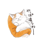 関西弁でいろいろ伝える猫たちのスタンプ（個別スタンプ：18）