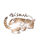 関西弁でいろいろ伝える猫たちのスタンプ（個別スタンプ：30）