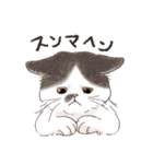 関西弁でいろいろ伝える猫たちのスタンプ（個別スタンプ：35）