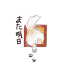 関西弁でいろいろ伝える猫たちのスタンプ（個別スタンプ：39）