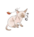 関西弁でいろいろ伝える猫たちのスタンプ（個別スタンプ：40）