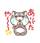 毎日しばさん♪（個別スタンプ：4）