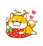 毎日しばさん♪（個別スタンプ：13）