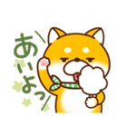 毎日しばさん♪（個別スタンプ：19）