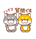 毎日しばさん♪（個別スタンプ：24）