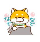 毎日しばさん♪（個別スタンプ：33）