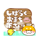 毎日しばさん♪（個別スタンプ：35）