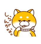 毎日しばさん♪（個別スタンプ：37）