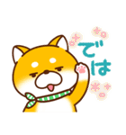 毎日しばさん♪（個別スタンプ：39）