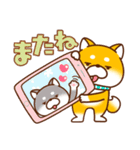 毎日しばさん♪（個別スタンプ：40）