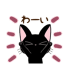黒猫の気づかい大人スタンプ【便利】（個別スタンプ：29）