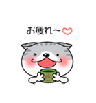 たれ耳にゃんこぐれい（個別スタンプ：2）