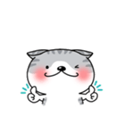 たれ耳にゃんこぐれい（個別スタンプ：3）
