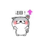 たれ耳にゃんこぐれい（個別スタンプ：19）
