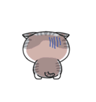 たれ耳にゃんこぐれい（個別スタンプ：31）