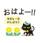 シンプルな黒ねこ×長文気づかい（個別スタンプ：2）