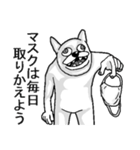 コロナうさぎ。（個別スタンプ：10）