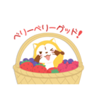 ラスカル あいさつことば（個別スタンプ：11）