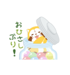 ラスカル あいさつことば（個別スタンプ：16）