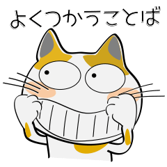 [LINEスタンプ] よく使う言葉で みーこ8