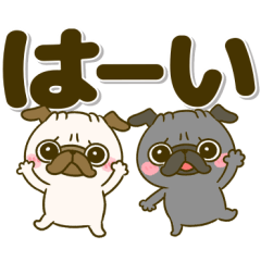 [LINEスタンプ] デカ文字♡黒パグちゃん