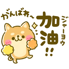 [LINEスタンプ] 中国語♡日本語訳 豆柴日和
