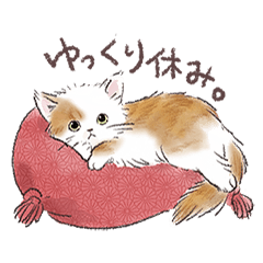[LINEスタンプ] 関西弁でいろいろ伝える猫たちのスタンプの画像（メイン）