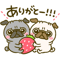 [LINEスタンプ] 黒パグちゃん♡春
