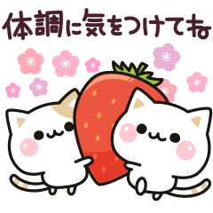 気づかいのできるネコ 動く春 健康編 Lineスタンプ Decor