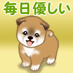 [LINEスタンプ] よちよち秋田犬 毎日優しいスタンプの画像（メイン）